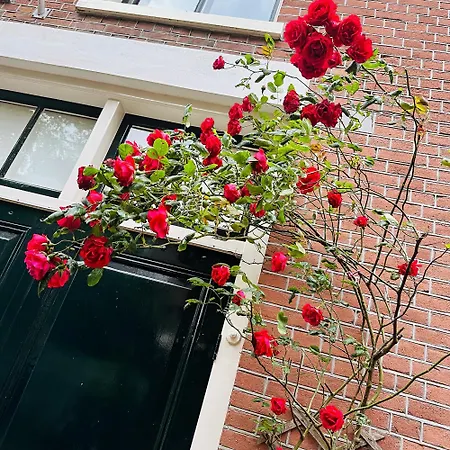 Perfectly Located Charming Apartment Magdalena House For True Connoisseurs Haarlem Exterior photo