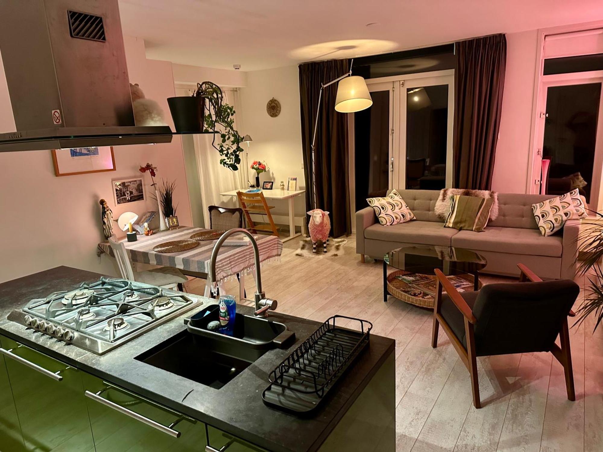 Perfectly Located Charming Magdalena House For True Connoisseurs * Haarlem