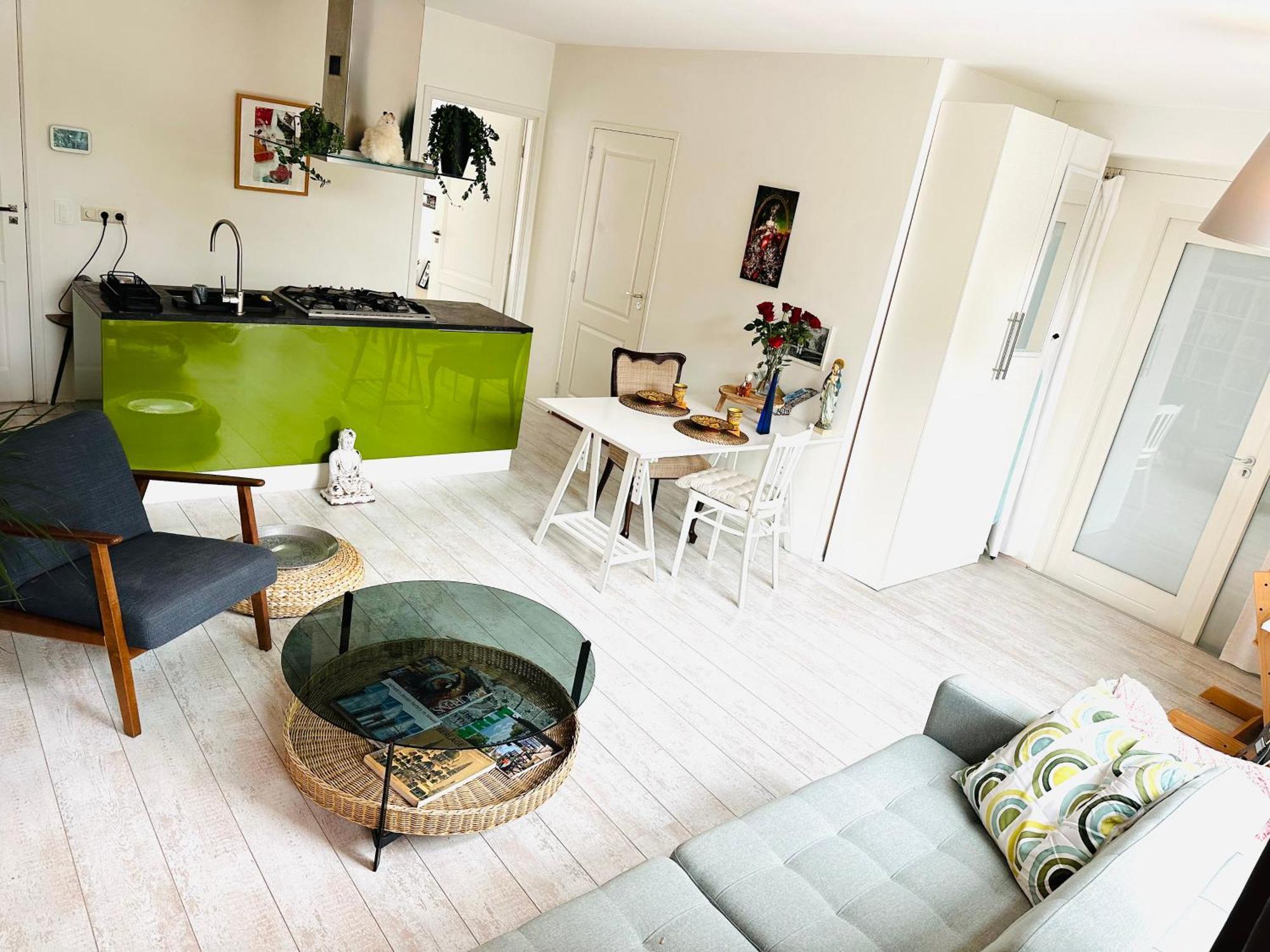 Perfectly Located Charming Magdalena House For True Connoisseurs Apartment Haarlem
